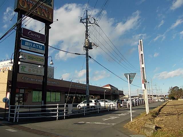 近くのオータニ平松店まで750m（徒歩10分）