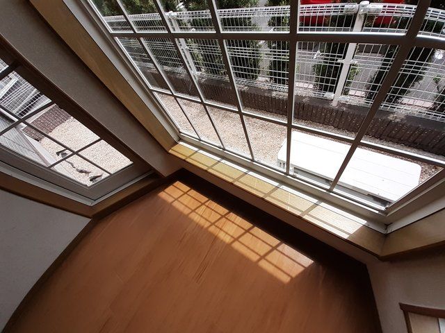 庭