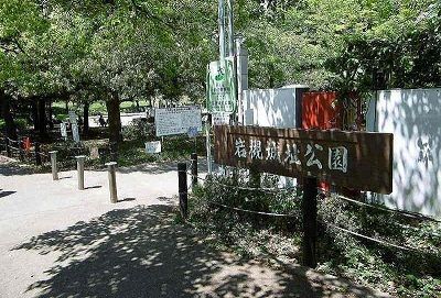 近くの岩槻城址公園まで600m(徒歩8分)