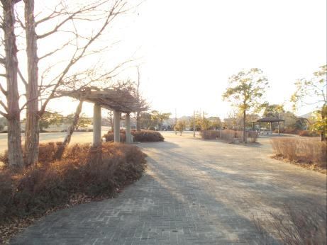 近くの樫の木公園まで500m（徒歩7分）