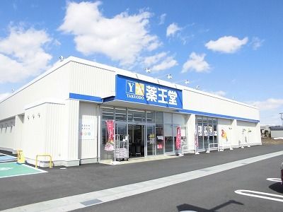 近くの薬王堂まで600m(徒歩8分)