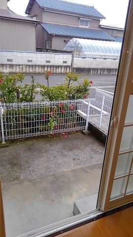 庭