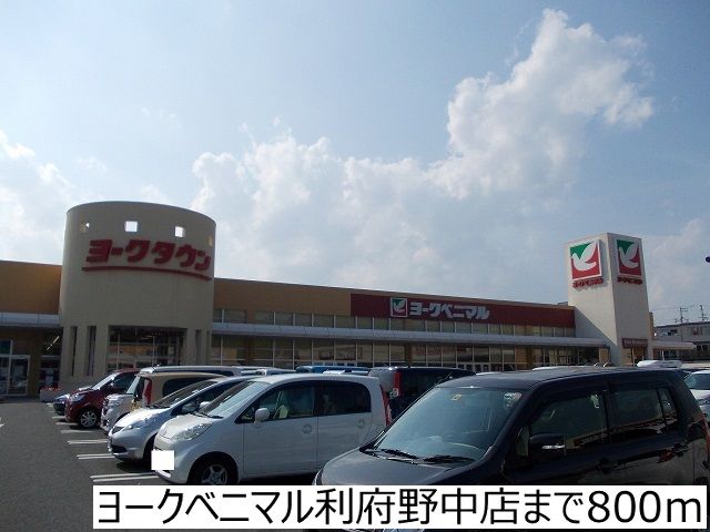 近くのヨークベニマル利府野中店まで800m（徒歩10分）