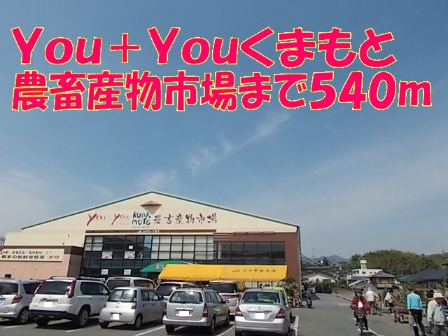 近くのyou+you熊本農産物市場まで540m（徒歩7分）