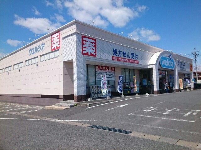 近くのウエルシア高崎棟高店まで800m（徒歩10分）