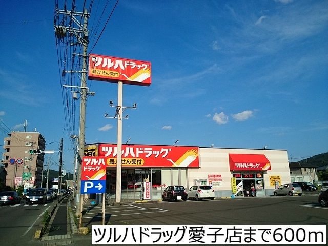 近くのツルハドラッグ愛子店まで600m（徒歩8分）