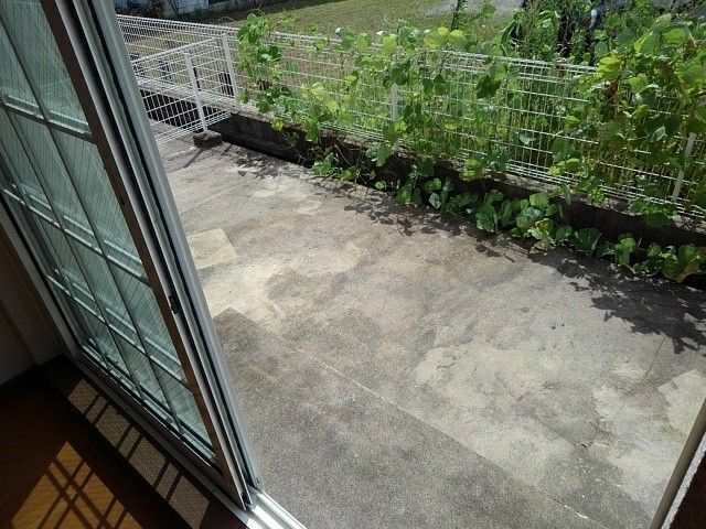 庭