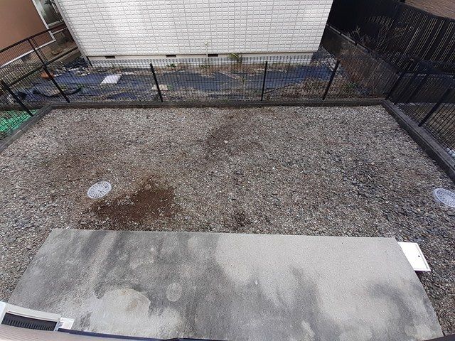 庭