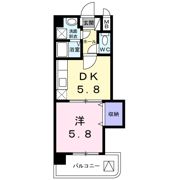 ラフィネT．M．Iの間取り画像