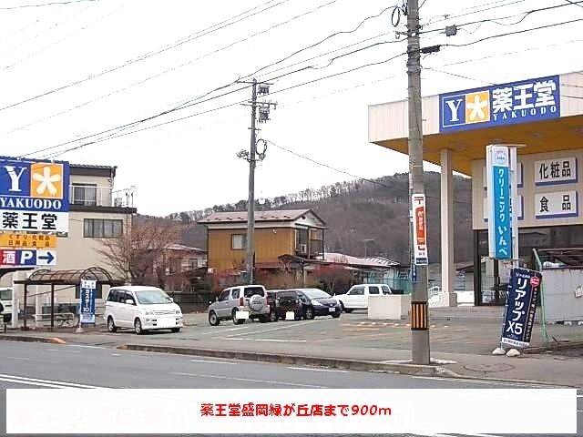 近くの薬王堂盛岡緑が丘店まで900m(徒歩12分)
