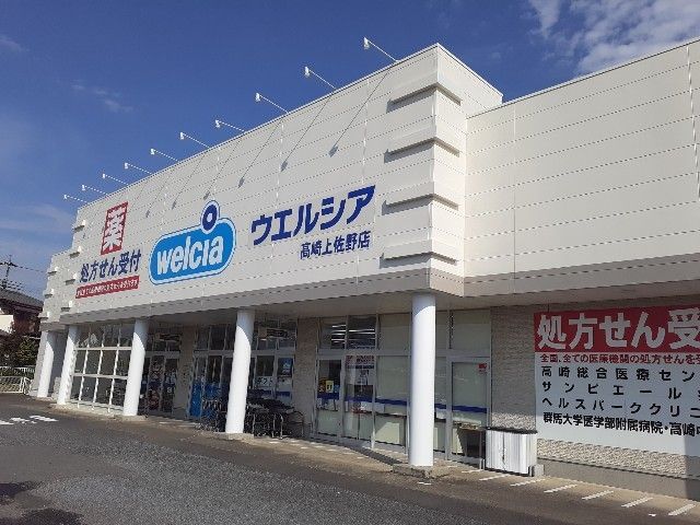 近くのウエルシア高崎上佐野店まで600m（徒歩8分）