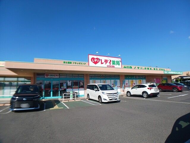 近くのくすりのレディ十川店まで2,300m（徒歩29分）