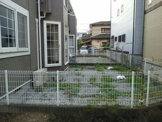 庭