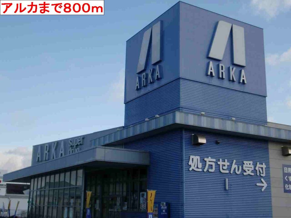 近くのドラッグストアまで800m（徒歩10分）