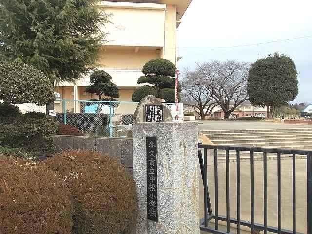 近くの牛久市立中根小学校まで800m(徒歩10分)