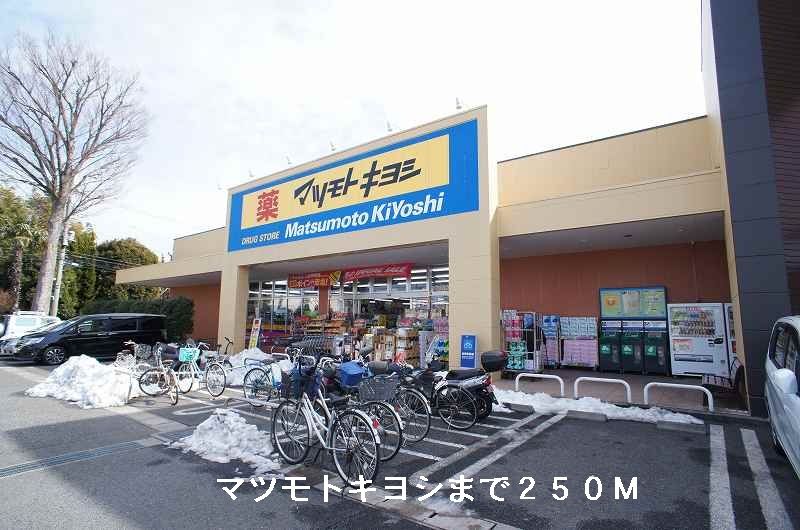 近くのドラッグストアまで250m（徒歩4分）