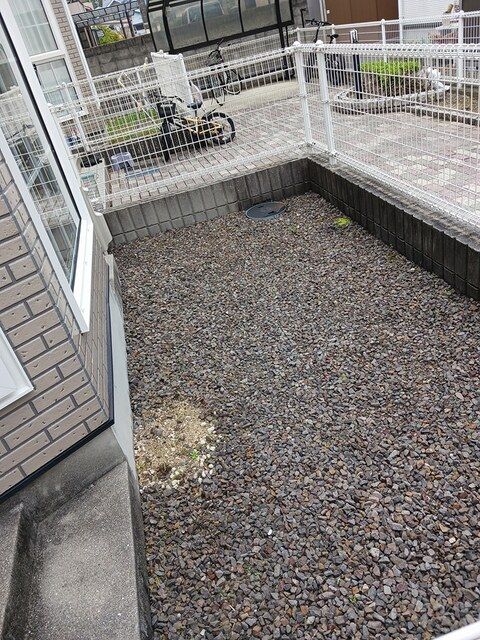 庭