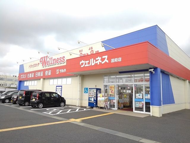 近くのウェルネス国府店まで1,100m（徒歩14分）