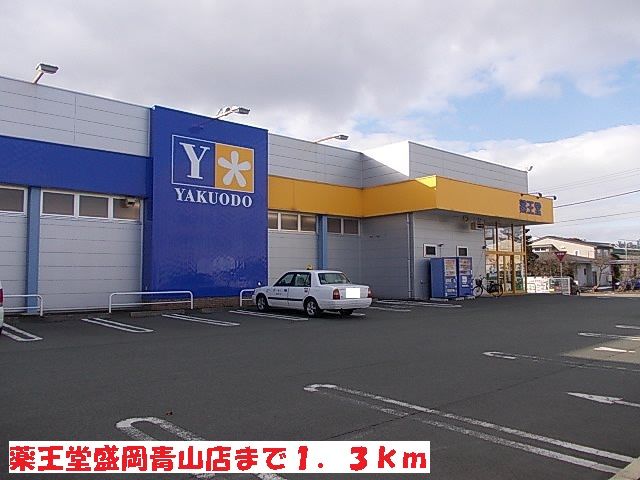 近くの薬王堂盛岡青山店まで1,300m（徒歩17分）