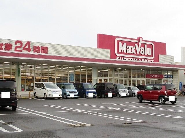 近くのマックスバリュ島之内店まで270m（徒歩4分）