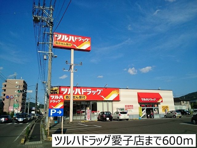 近くのツルハドラッグ愛子店まで600m（徒歩8分）