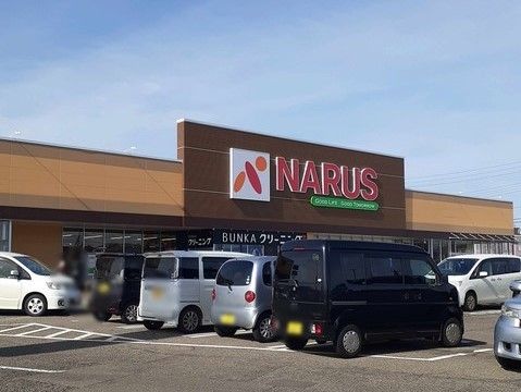 近くのナルス国府店まで400m（徒歩5分）
