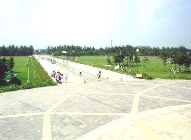 近くの川下公園まで700m（徒歩9分）