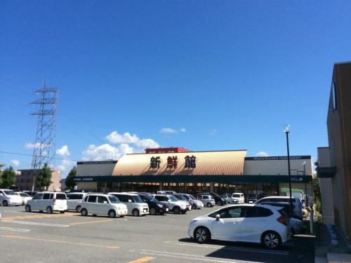 近くのハニー新鮮館 つくし野店まで1,100m(徒歩14分)