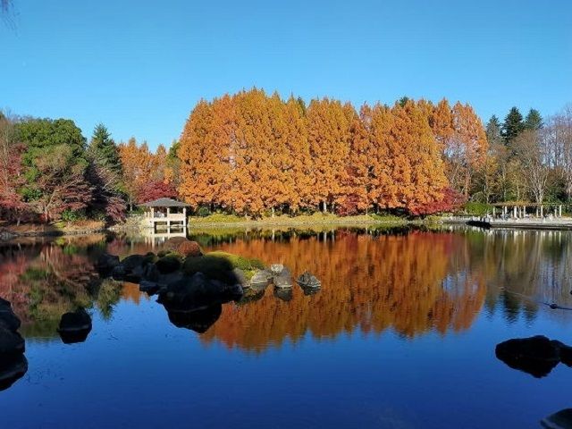近くの中央公園まで500m（徒歩7分）