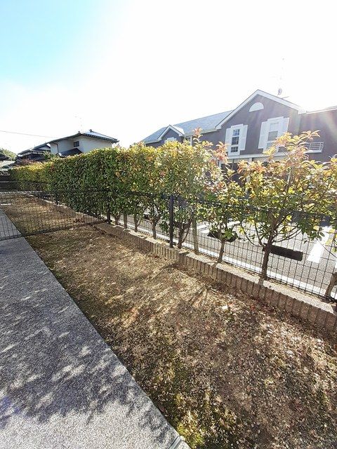 庭