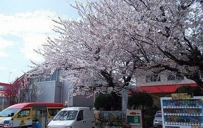 近くの泉ヶ丘幼稚園まで340m（徒歩5分）