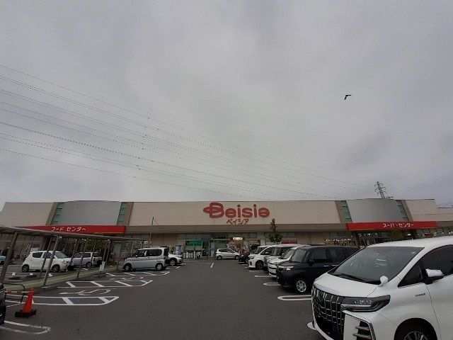 近くのベイシア前橋モール店まで800m（徒歩10分）