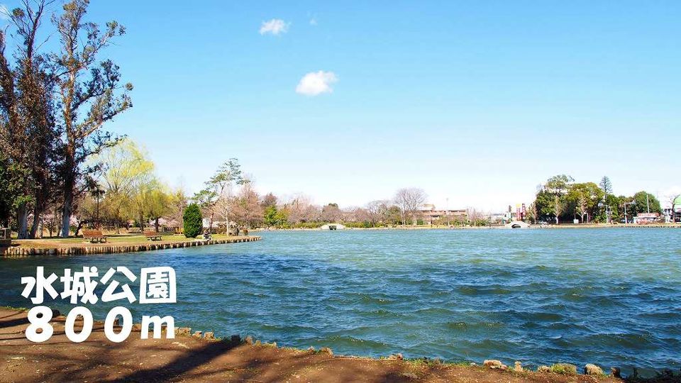 近くの水城公園まで800m（徒歩10分）