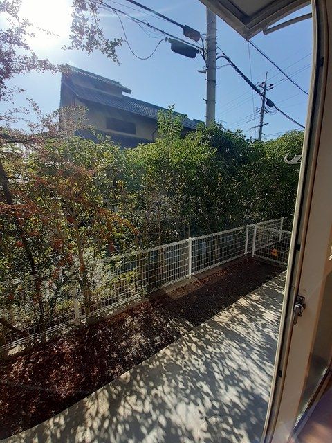 庭