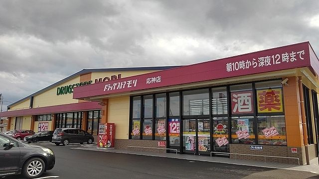 近くのドラッグストアモリ藍住店様まで800m（徒歩10分）
