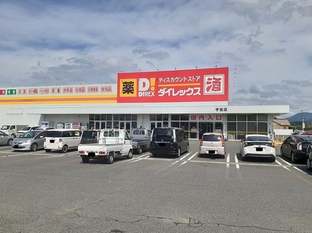 近くのダイレックスまで600m(徒歩8分)
