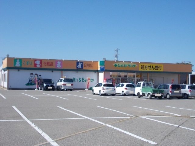 近くのシメノドラッグまで350m(徒歩5分)