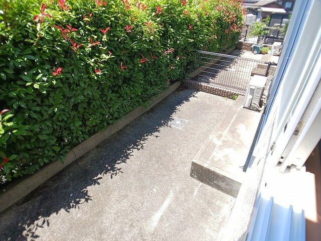庭