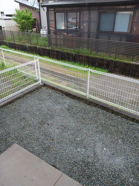 庭