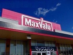 近くのマックスバリュまで260m(徒歩4分)