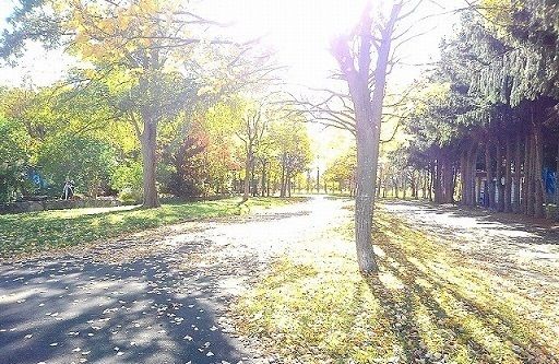 近くの屯田西公園まで50m（徒歩1分）