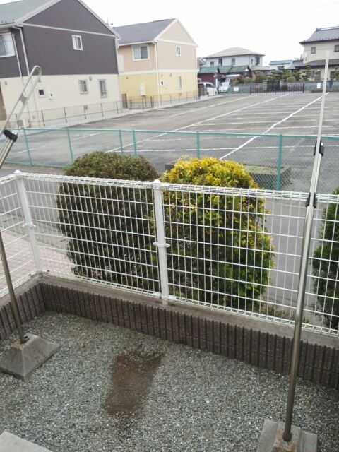庭