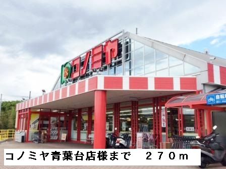近くのコノミヤ青葉台店様まで270m(徒歩4分)