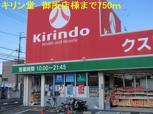 近くのドラッグストアまで750m（徒歩10分）