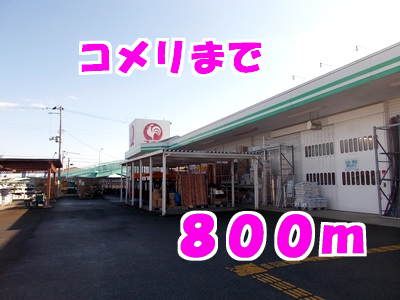 近くのホームセンターまで800m（徒歩10分）