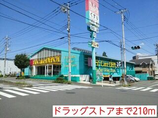 近くのドラッグストアまで210m（徒歩3分）