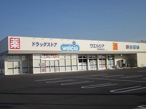 近くのウエルシア岩瀬鏡石店まで900m(徒歩12分)