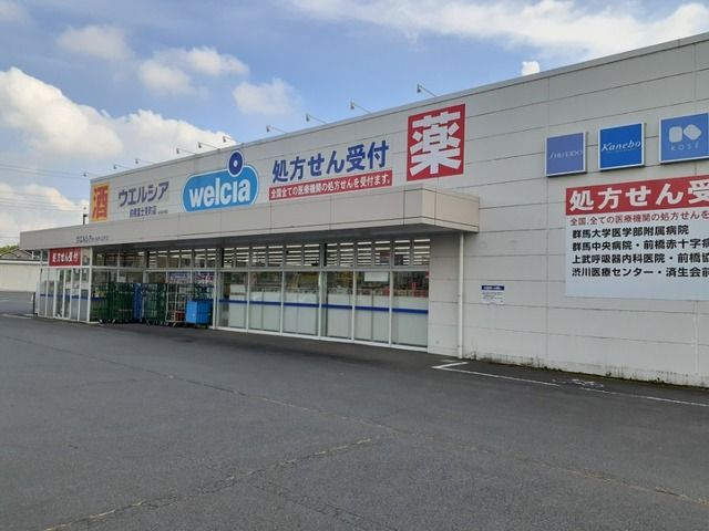 近くのウエルシア前橋富士見町店まで700m（徒歩9分）