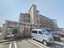 ディナスティ田村の間取り画像
