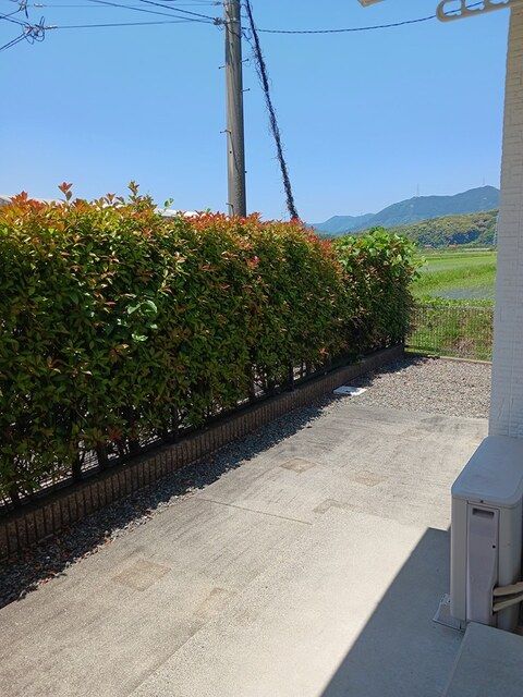 庭